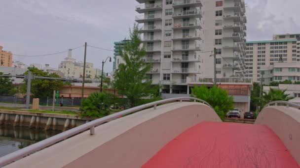 Zicht South Pointe Park Pier Voetgangersbrug Die Baai Overspant Biedt — Stockvideo