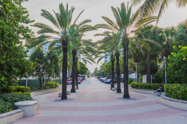 Ufukta uzanan palmiyeler ve yemyeşil tropikal bitkilerle süslenmiş güzel bir cadde. Miami Beach, Florida, ABD. 