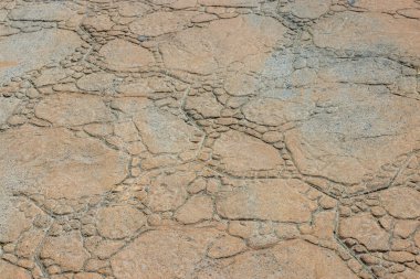 Gran Canaria 'daki parktaki yaya yolunun dokusunun yakın görüntüsü. İspanya.