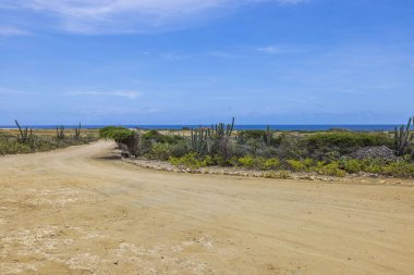 Arikok Ulusal Parkı 'nın Aruba adasındaki güzel manzarası, çöl manzarası, tropikal bitki örtüsü ve Karayip Denizi' nin arka planı.