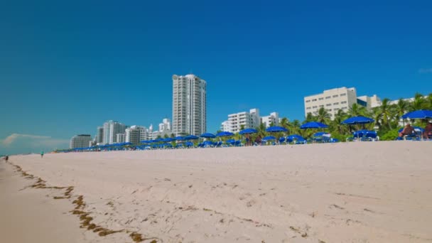 Utsikt Över Atlanten Vågor Rullar Sandstränder Miami Beach Förenta Staterna — Stockvideo