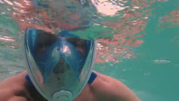 Breathtaking Underwater Scene While Snorkeling Revealing Beauty Marine World — Stock Video