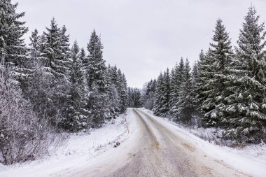 Uzağa uzanan toprak yollarla kaplı kozalaklı ormanın güzel kış manzarası. İsveç.