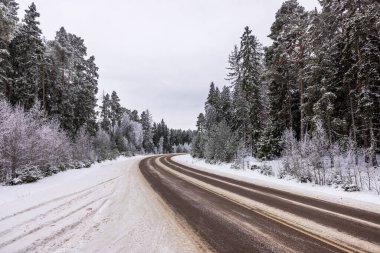 Buzlu otoyol, yoğun bulutlu bir gökyüzünün altında karla örtülü çam ağaçlarıyla bir kış ormanının içinden geçiyor. İsveç.