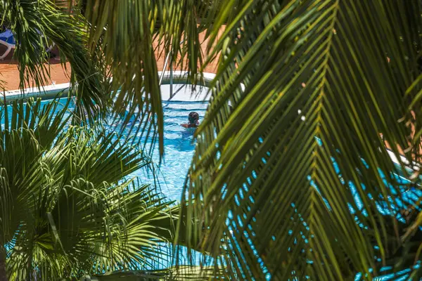 A top-down view through palm branches of a woman swimming in an outdoor pool within the hotel premises. Miami Beach. USA.