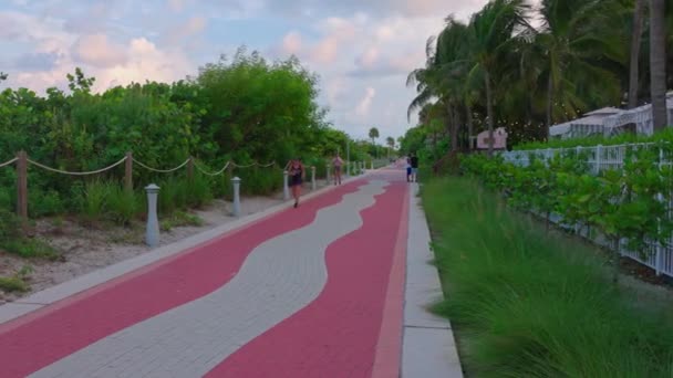 Вид Прогулянкову Вулицю Маямі Біч Людьми Які Займаються Прогулянками Спортом — стокове відео
