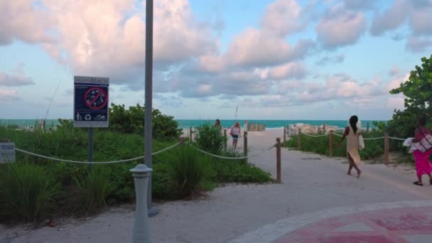 Hermosa Vista Miami Beach Con Mujeres Caminando Hacia Desde Playa — Vídeo de stock