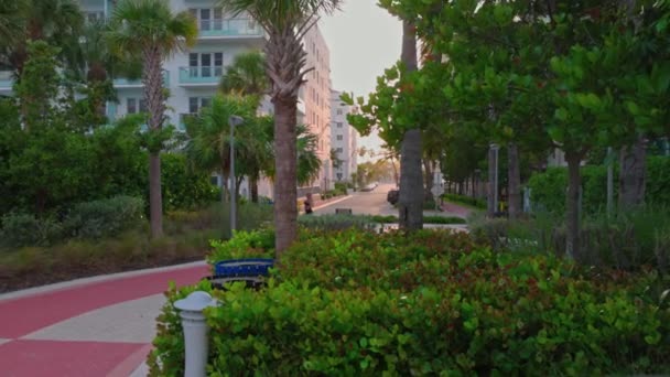 Hermosa Vista Ciudad Miami Beach Con Hoteles Personas Caminando Parque — Vídeos de Stock