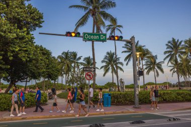 Miami Sahili Okyanus Yolu 'nda güneşli bir gün. Kaldırımda yayalar, canlı yeşil ağaçlar, palmiyeler ve bulutsuz mavi bir gökyüzü. Miami Plajı.
