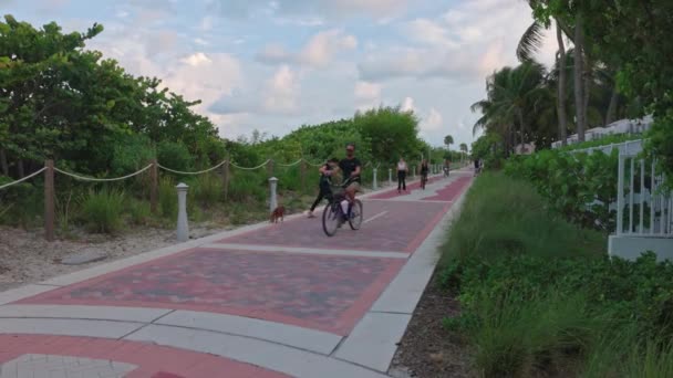 Ciclisti Attivi Manovrano Con Attenzione Pedoni Passati Walking Street Miami — Video Stock