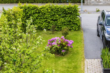 Çiçeklerin açtığı güzel bir bahçe manzarası ve sıcak bir bahar gününde özel bir villanın otoparkına park edilmiş bir araba. İsveç.