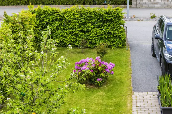 Çiçeklerin açtığı güzel bir bahçe manzarası ve sıcak bir bahar gününde özel bir villanın otoparkına park edilmiş bir araba. İsveç.