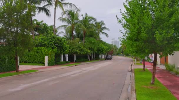 Escénica Perspectiva Del Distrito Residencial Miami Beach Con Floreciente Flora — Vídeo de stock