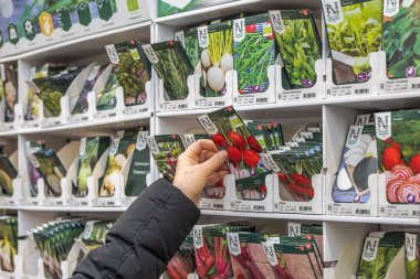 Bahçe dükkanından turp tohumu seçen bir kadının yakından görüntüsü. Bahçıvanlık kavramı. 