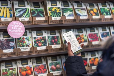 Dükkanda tohum paketindeki tohum okuma talimatlarını okuyan bir kadının yakın plan görüntüsü. Bahçıvanlık kavramı.