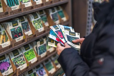 Bahçe dükkanında seçilen sebze tohum paketlerini inceleyen kadının yakın plan görüntüsü. Bahçıvanlık kavramı. 
