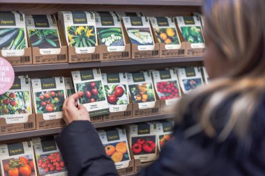 Bahçe dükkanından domates tohumu seçen bir kadının yakın plan görüntüsü. 