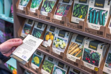 Bir kadının tohum paketinde tohum ekme talimatları okuduğu yakın plan.. 