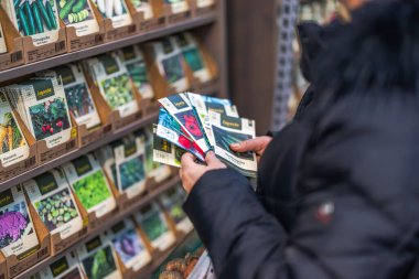 Bahçe dükkanında seçilen sebze tohum paketlerini inceleyen bir kadının yakın çekimi.. 