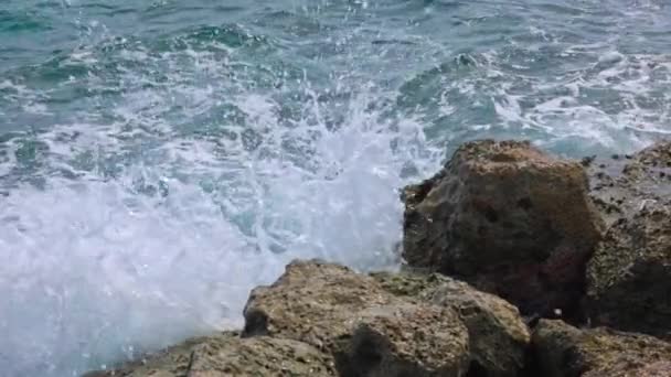 자연적인 바위에 카리브해 파도의 매혹적인 슬로우 쿠라카오는 — 비디오