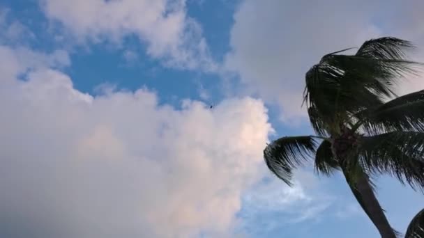 Vista Pequeno Quadricóptero Voando Alto Acima Com Céu Azul Nuvens — Vídeo de Stock