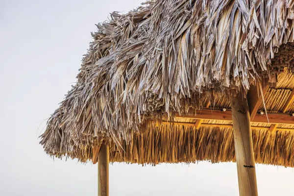 Close-up of the restaurant roof made of palm leaves on the shores of the Caribbean Sea. Curacao.
