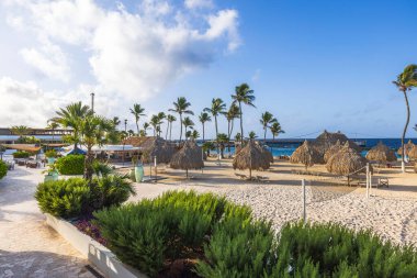 Kumlu bir plajı, voleybol sahası, palmiye yapraklı şemsiyeleri ve Karayip Denizi kıyısında şezlongları olan güzel bir otel manzarası. Curacao.