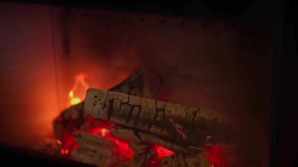 Close View Burning Birch Logs Fireplace — Stock Video