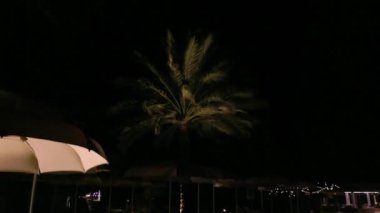 Otelin açık havuzu yakınındaki ışıklı palmiye ağaçlarının güzel gece manzarası. Curacao.