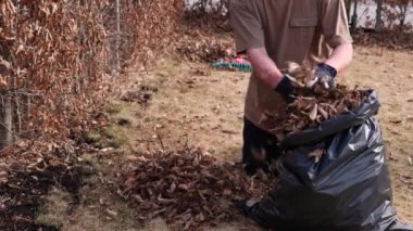 Bahar günü bir bahçede plastik poşette düşen yaprakları toplayan bir adamın görüntüsü. İsveç.