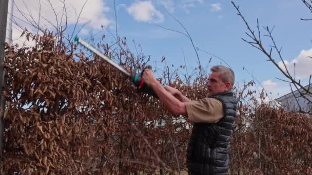 Vue Homme Coupant Des Buissons Avec Une Taille Haie Électrique — Video