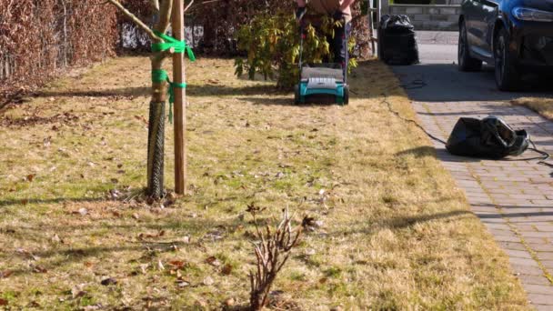 Mann Sammelt Einem Frühlingstag Mit Einem Elektrischen Rasenbelüfter Altes Trockenes — Stockvideo