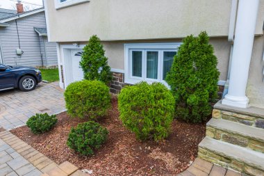 Sonsuza kadar yeşil thuja ağaçları olan küçük bir ev manzarası. New Jersey 'de. ABD.