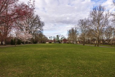 Baharın erken saatlerinde, bulutlu bir gökyüzüne karşı çiçek açan ağaçların olduğu güzel bir park manzarası. New Jersey 'de. ABD