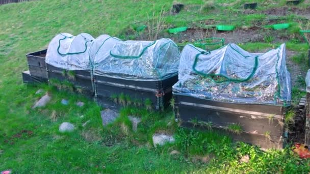 保護プラスチックカバー付きの高層パレットカラーに植えられたイチゴの茂みを特徴とする裏庭園のクローズアップビュー スウェーデン — ストック動画