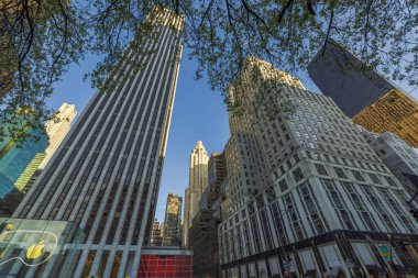 Ağaçların dallarından başlayıp Manhattan 'ın gökdelenlerine kadar uzanan güzel bir manzara mavi gökyüzünün arka planına karşı. - New York. ABD. 