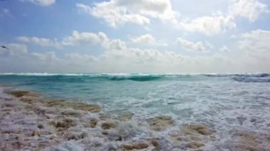 Karayip Denizi 'nin güzel manzarası kumlu sahile vuran dalgalar ve suyun üzerinde uçan bir pelikan. Meksika.