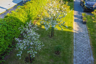 Çiçekli elma ağaçları ve şarj istasyonu olan elektrikli bir araba için park yeri olan güzel bir bahçe tasarımı manzarası. İsveç.