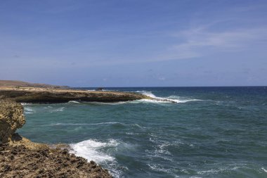 Aruba Adası 'ndaki kayalık Karayip Denizi sahili manzaralı..