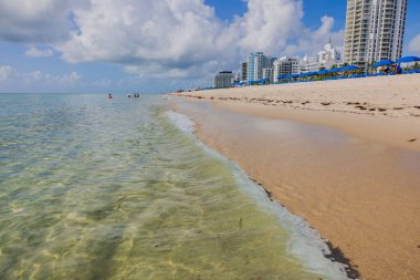 Miami sahili boyunca uzanan gökdelenler, güneş şemsiyeleri ve şezlongların yer aldığı donanımlı kumlu plajlarla birleşiyor.. 