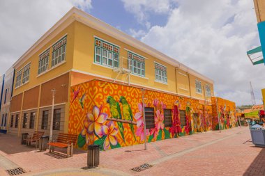 Şehir merkezindeki sokaklardan birine papağan grafitiyle süslenmiş sarı-kırmızı bir binanın güzel manzarası.. 