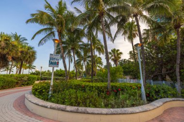 Miami Plajı 'nda, yemyeşil ve tabelalarla çevrili, arka planda açık mavi gökyüzü olan güzel bir palmiye çizgili yürüyüş yolu manzarası. Miami mi? Kumsal. ABD. 