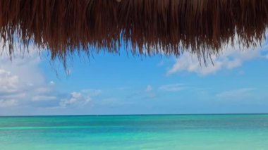 Palmiye yaprağının altından güzel bir manzara, şezlonglar, kuş şeklindeki iğnelerle sırta kesilmiş havlular, Karayip Denizi 'nin turkuaz suları. Aruba.