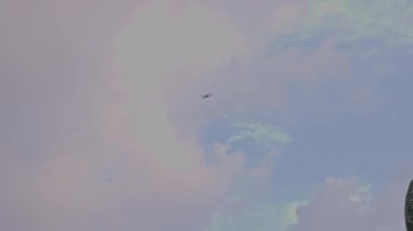 Mavi gökyüzü, beyaz bulutlar ve sallanan bir palmiye ağacının tepesinde, üzerinde süzülen küçük bir dronun görüntüsü. Miami Plajı. ABD.