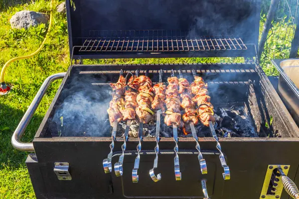 Güneşli yaz gününde alüminyum şişler üzerinde mangal kömürü ızgarası yapan barbekü şişleri. İsveç.