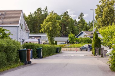 Evler, ağaçlar, çöp bidonları, park edilmiş arabalar ve yaz günü banliyöde yürüyen insanlar..