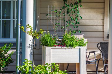 Evin yanındaki avluda çeşitli yeşil bitkiler ve çiçekler olan ahşap saksı, arka planda sandalye ve pencere var. İsveç.