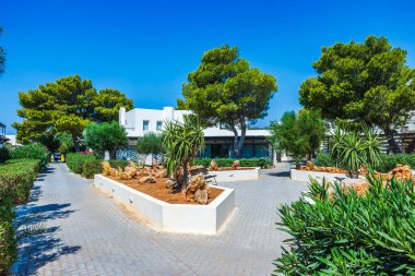 Parlak güneşli bir günde, asfaltlı bir avluda ağaçlarla ve düzgünce düzenlenmiş bitkilerle güzel bir bahçe. Girit. Yunanistan.