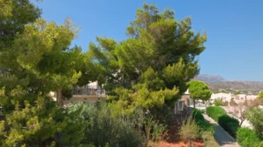 Girit adasındaki dağlık arazide tropikal ağaçlar ve çam ağaçları olan güzel bir otel manzarası.. 