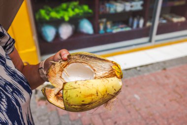 Kadının el ele tutuşmasının yakın plan görüntüsü hindistan cevizini açtı. Curacao.